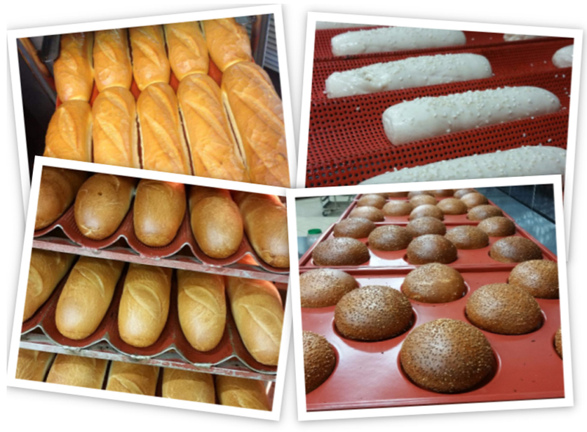 תבניות אפיה למכירה