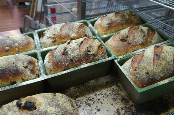 מגשים שטוחים