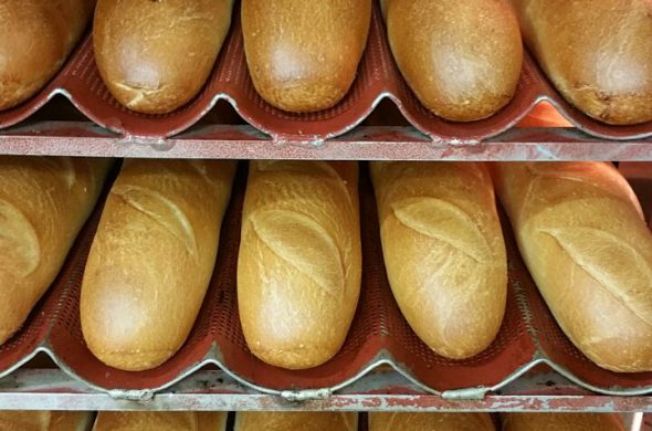 תבניות לחם