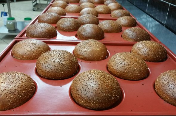 ציפוי מגשים