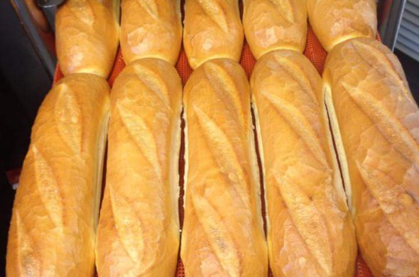 תבניות באגטים